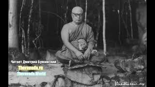 Основы Буддизма и Медитация развития осознанности с дыханием (Буддадаса Бхиккху) Аудиокнига