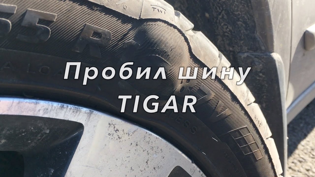 ГРЫЖА НА ШИНЕ ТИГАР - YouTube