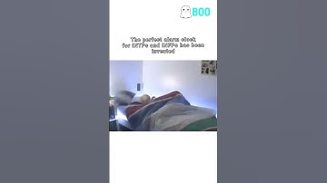 I need this ASAP 😂 #booapp #personalitytypes #16personalities #INTP #INFP