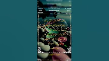 سيقولون ثلاثة رابعهم كلبهم ويقولون خمية سادسهم كلبهم رما بالغيب #سورة الكهف #الشيخ أحمد بن طالب حميد
