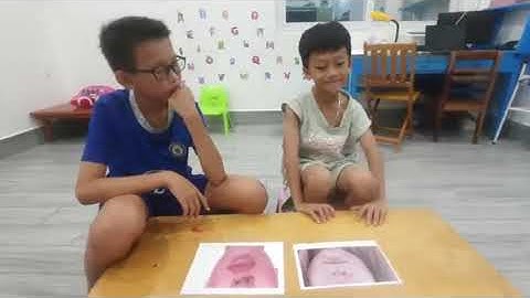 Tiếng Anh Giao Tiếp Thiếu Nhi Tại Phan Thiết: Rooney and Ben talking about Describing People