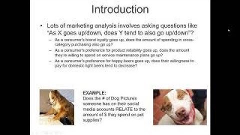Pearson Correlations - Bivariate Statistical Tests in Marketing Research Using Excel
