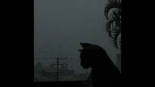 FREE XXXTENTACION TYPE BEAT - Death Of Me