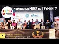 Чемпионат Мира по Грумингу 2017. Бельгия, г. Кортрейк.