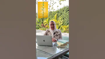 كتاب نعمة الألم للكاتبة د نشوى صلاح معرض القاهرة الدولي للكتاب 2024 