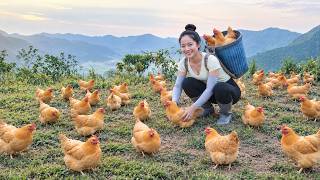 Raising Baby Chicks Without Their Mother in Garden, Bathing the Dogs & Country Cooking | Rural Life screenshot 3