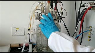 Bioreactor Basics 2: Harvesting, Cleaning and Calibration @edubiotech