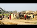 Nepali Village Life Daily Routine || Village life of Nepal || countryside farmers daily life