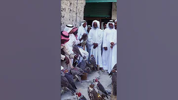 سوق الصقور في الدوحة قطر قديما في السبعينيات الميلادية 