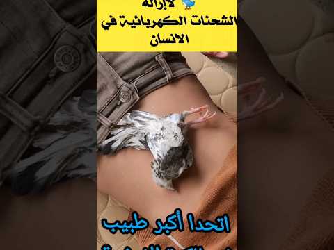 افضل علاج للشحنات الكهربائية في الانسان من الطيور 100 User Khalil Jubran مصطفى المومري لايك