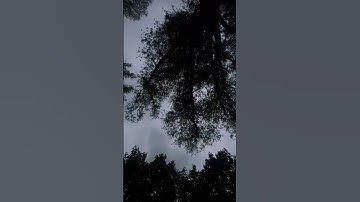 سورة الفرقان بصوت جميل #quran #قرآن #قران_كريم #ياسر_الدوسري #محمد_اللحيدان