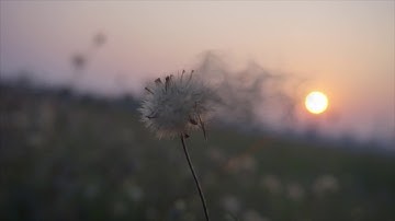 Adobe After Effects || FX PARTICLE BUILDER || Test