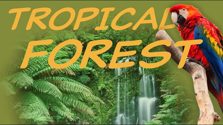 Explore the TROPICAL FOREST Biome 🦜 Nature Ecology & Environment thumbnail