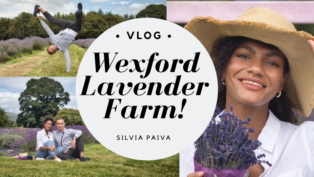 must-see-wexford-lavender-farm-in-ireland-wow-where-to-go-on-an-irish