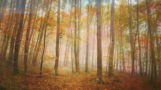 “Autumn Breeze” by James ‘PJ’ Spraggins (ft. Eric Essix)