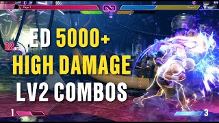 Ed Super Art Lv 2 High Damage Combos 5000+