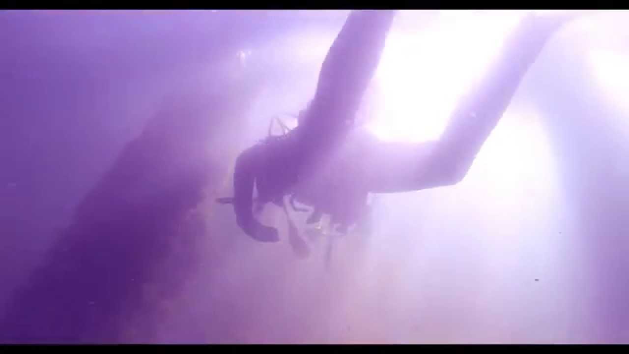 The Dive Team: The Welland Train Bridge HQ