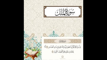 تلاوة عطرة من القرآن الكريم بصوت هادئ يبعث الطمأنينةكريم #Quran #qurankareemالقرآنالكريم