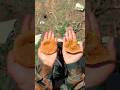 Samosha vs kachori #army #armystat #indianarmy #youtubeshorts #foji #comedy #armylover