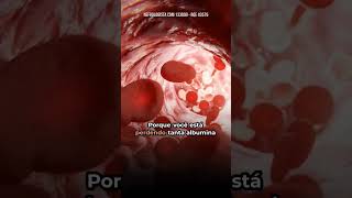 Carlos Eiji Koga-13
