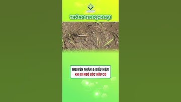 🚫 Ngộ độc hữu cơ - Nguyên nhân và biểu hiện #viettrungangiang #bannhanong #VTAG #sieureroots #tohat