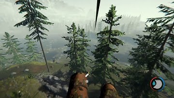 The Forest - Zip Line