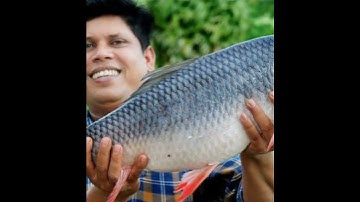 #shorts#youtubeshorts#trending M4tec and Villagefoodchannel//Status vedio