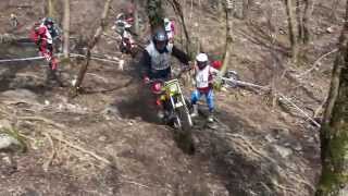 00542 Massimo(3)