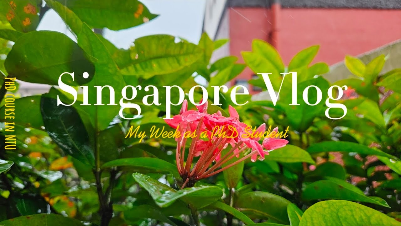 Vlog ep#31 대학원생 브이로그|싱가포르 유학|돌아가고 싶다고 어필 못해서 술자리에 끝까지 남아있기|설연휴에 학교에 남아있기|과제와 중간고사에 시달리기
