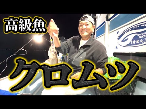 真冬の夜の海で高級魚クロムツが大漁！千葉県【内房勝山港 萬栄丸】