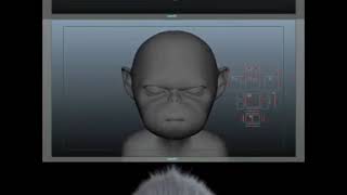 Monkey Facial Animation Test