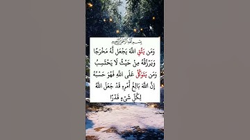 #قرآن #ومن يتق الله يجعل له مخرجا#سورة_الطلاق #ماهر_المعيقلي #اكسبلور #pourtoi #foryou #راحة_نفسية