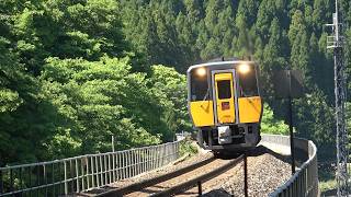 新緑の智頭急行線を走る特急スーパーはくと 特急スーパーいなば高速通過集