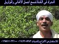 كليب شعبان المنياوى قطر الصعيد كليب شعبان المنياوى قطر الصعيد