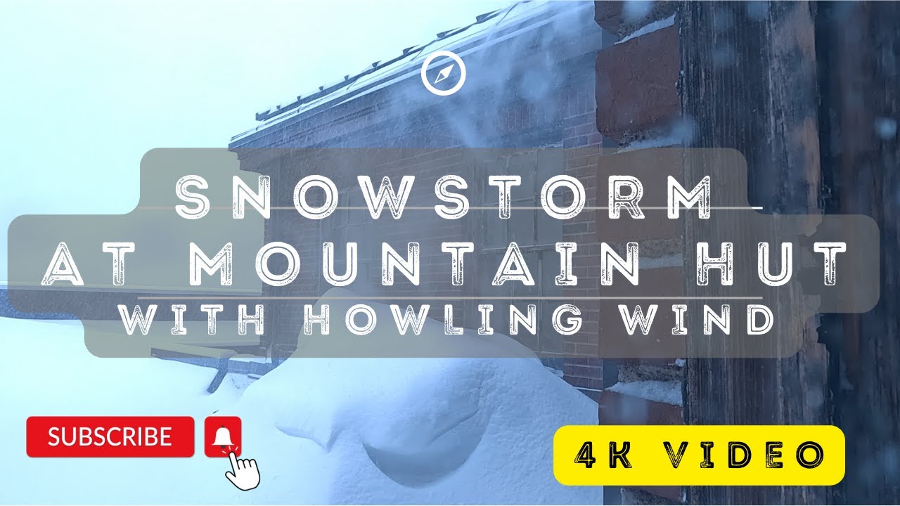 Winter Storm with Howling Wind and Blowing Snow from cozy cabin for ...