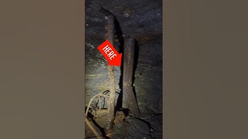 A quick explanation of underground room & pillar mining in a Pennsylvania Anthracite Coal Mine!