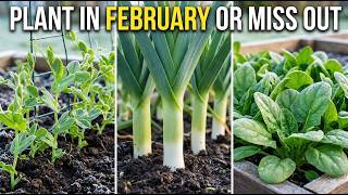 25 Crops to Plant in February Before the Season Gets Away From You