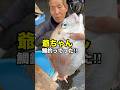 釣れたて真鯛を祖父母に調理してもらいました😂👏‼️ #船長の日常 #漁師の日常 #小さな幸せ