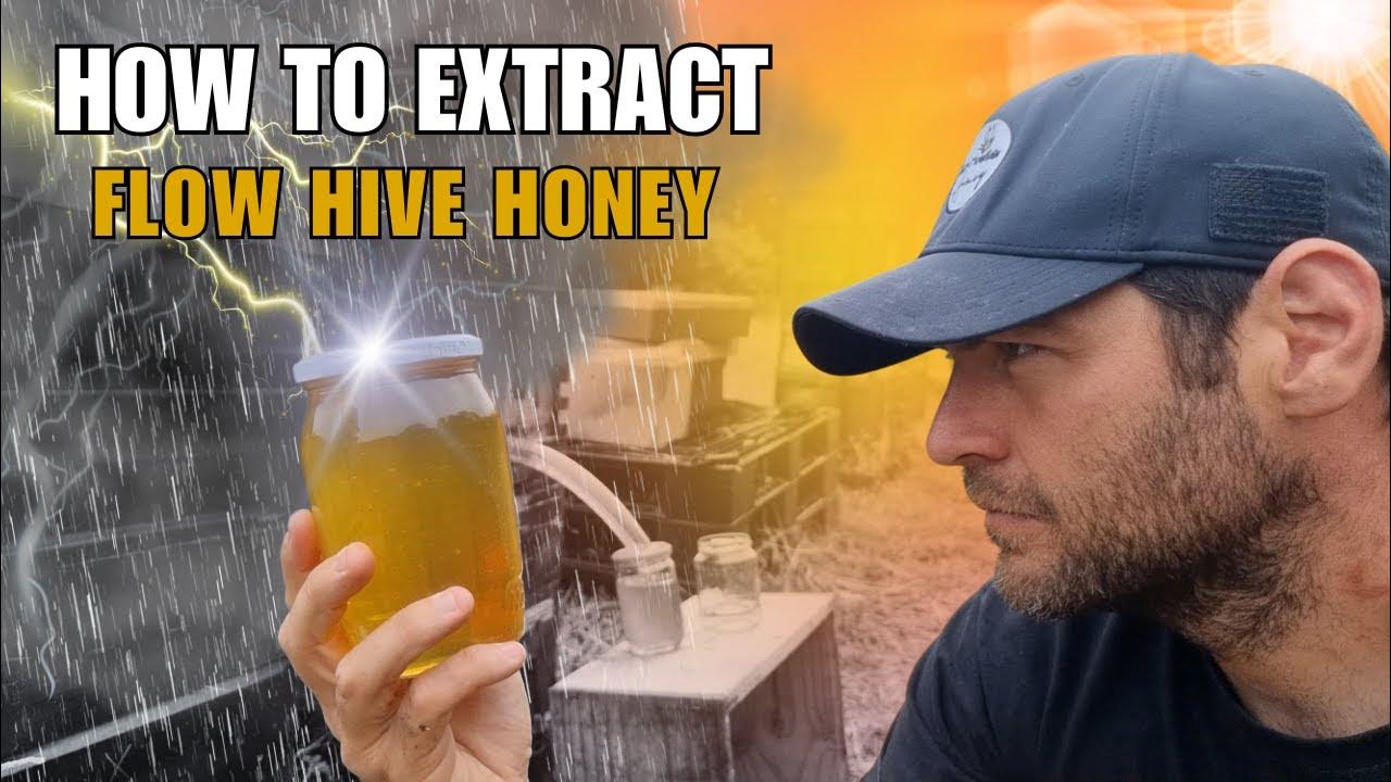The Best Way To Extract Honey From A Flow Hive YouTube