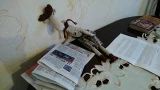 Шерлок Холмс караоке версия лосё-клип Сыендук Шерлок Холмс караоке версия лосё-клип Сыендук