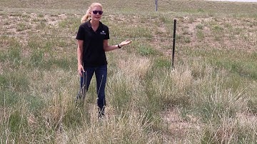 DEN Passive Restoration with Esplanade and Tank Mix Partners