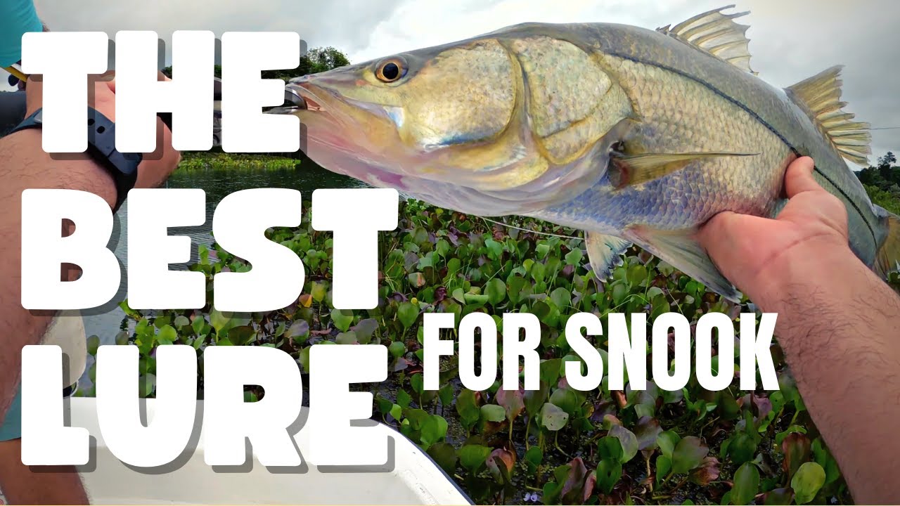 BEST lure for SNOOK 