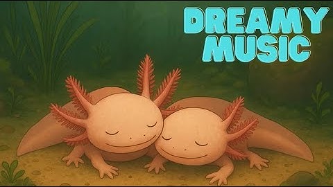 Dream Time 🌙 | A Gentle Lullaby Song for Sleep & Sweet Dreams