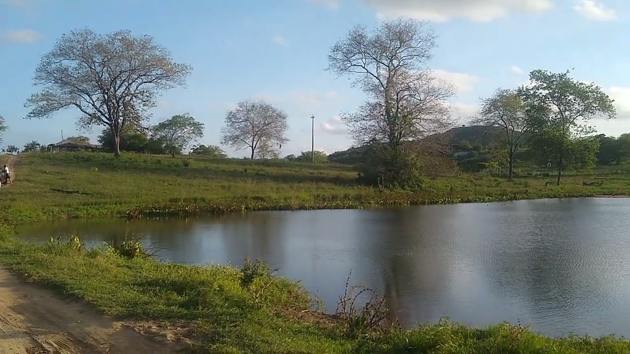 olho daguá de Figueira passira Pernambuco