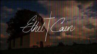 Celebrity Sun Bleached Flies by Ethel Cain but the instrumental is 17 seconds delayed Net Worth