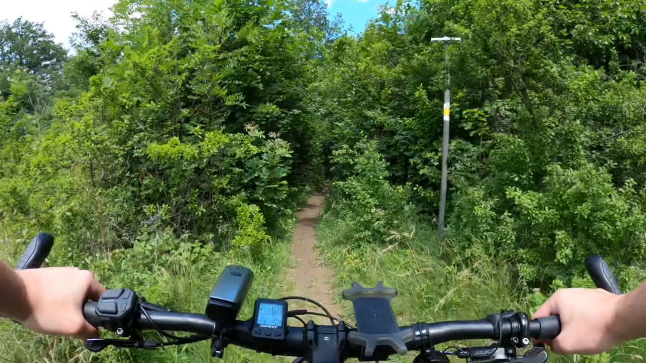 Downhill in Klosterneuburg