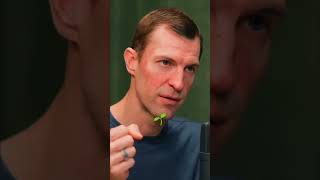 Why letting kids play in the dirt might actually save their immune system.