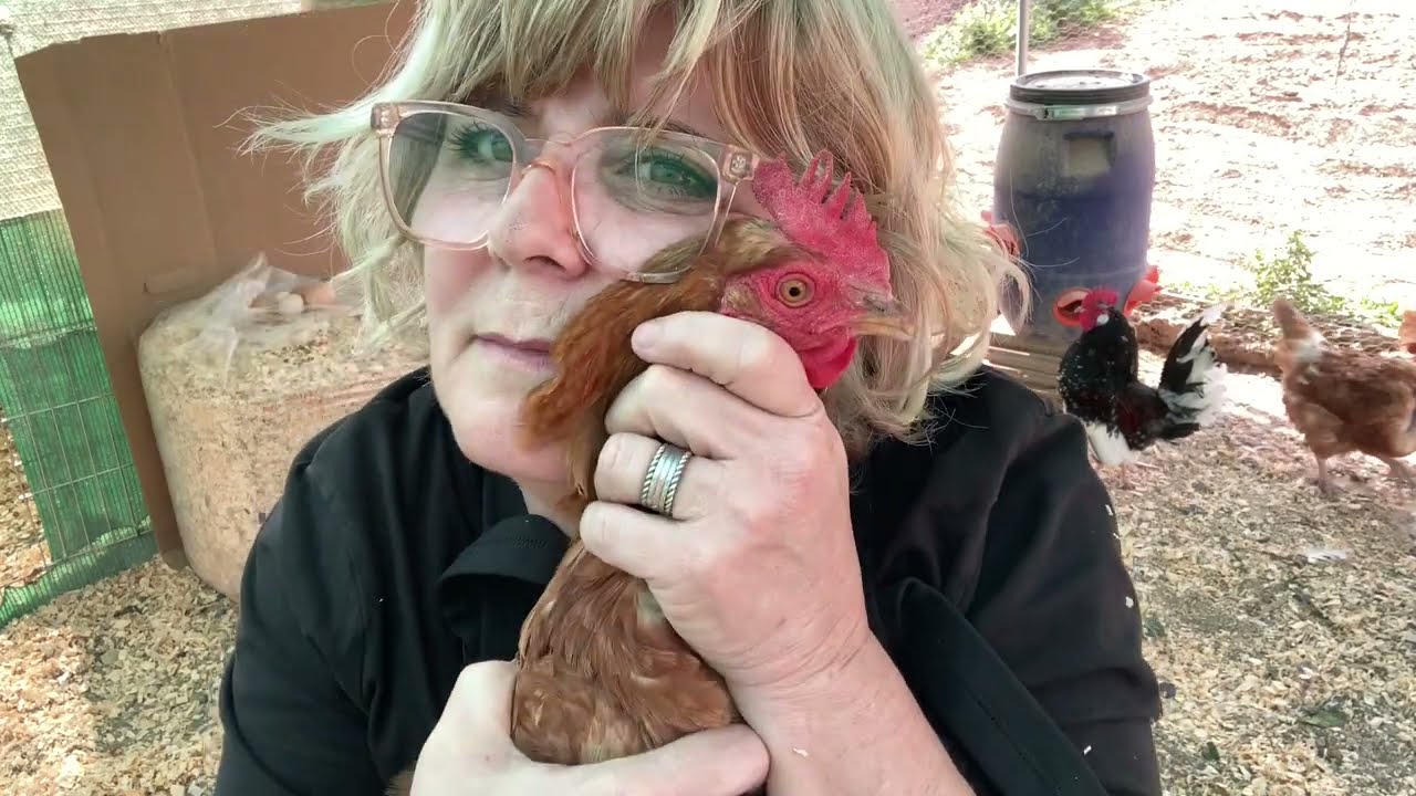 DIA EN LA VIDA,LIMPIAMOS EL GALLINERO, ESTRENAMOS LA MOTOSIERRAS, RECETA DE HOJALDRE CON BEICON