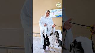 Be-sahara Maon ki Eid: Waqf-e-Qurbani 2026 | Binte Fatima Lahore