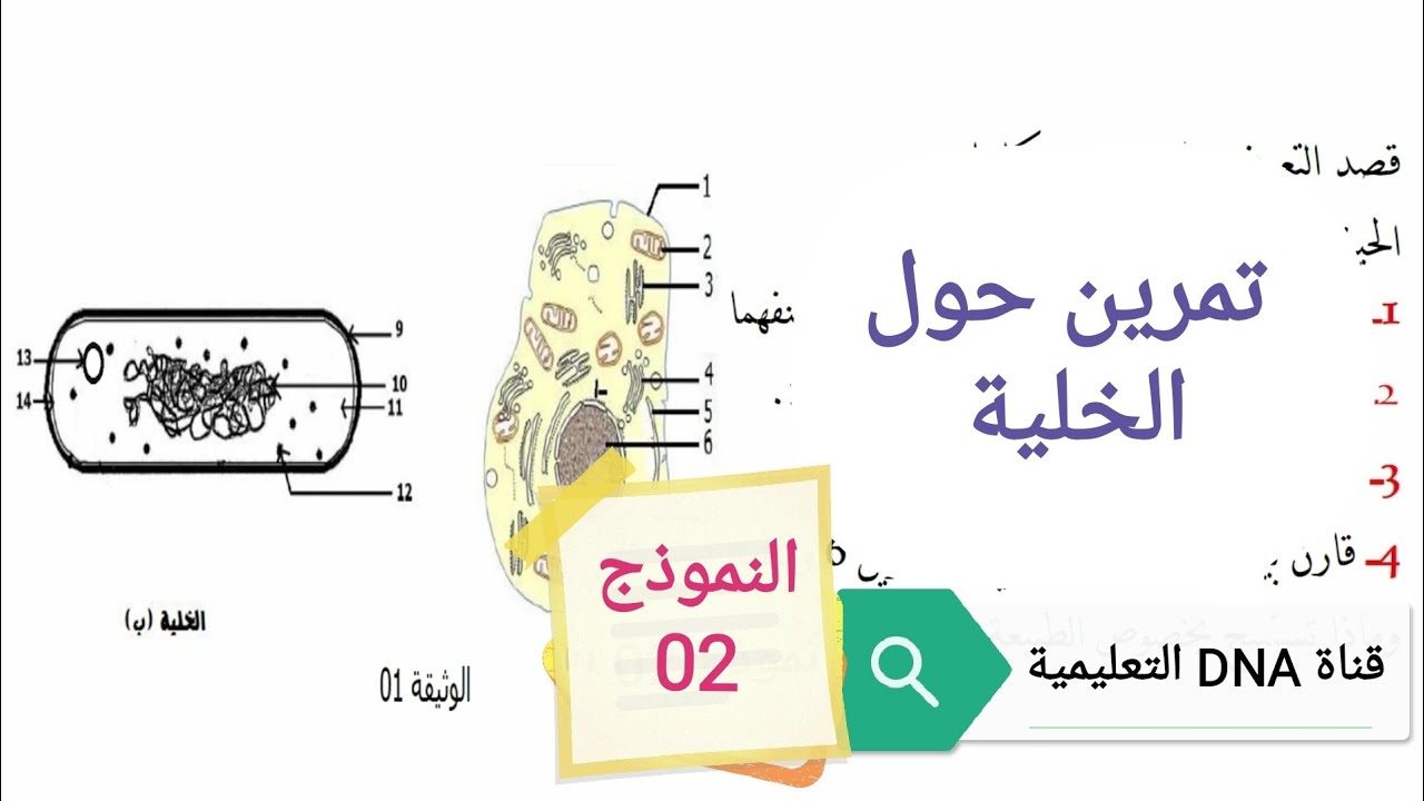 تمارين حول الخلية وحدة بنيوية 2 ثانوي